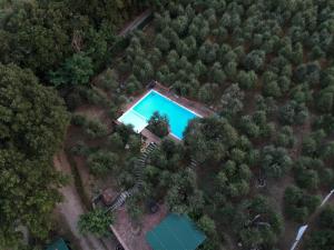 an overhead view of a pool in a forest at Corolle2 in Montepulciano
