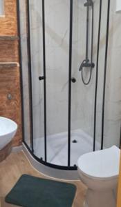 a bathroom with a shower and a toilet and a sink at Niesamowita Dolina in Zdonia +47 photos