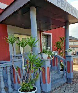 a building with potted plants in front of it at Pension Pale' Bach in Bad Hersfeld +43 photos