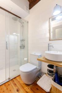 a bathroom with a toilet and a sink and a shower at Golindo Goikoa in Getaria
