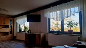 a kitchen with a large window with a plant in it at Waldbühnenblick in Schwarzenberg/Erzgebirge