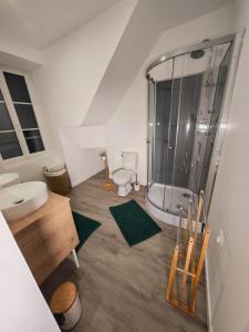 a bathroom with a shower and a toilet and a sink at L'immeuble du Monde Rose - Appartements neufs climatisés - classés 3 étoiles - Vic le Comte - Auvergne in Vic-le-Comte +27 photos