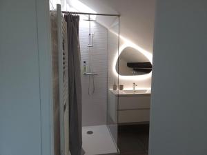 a bathroom with a glass shower and a sink at Le Perchoir Charm and light in Pau