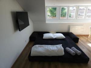 a bedroom with two beds with pillows and a tv at Le Perchoir Charm and light in Pau