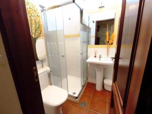 a bathroom with a shower and a toilet and a sink at Casa D Dinis by NaturAlegre in Alegrete +46 photos