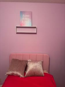 a bed with a pink headboard with a picture above it at The Relaxing Home in Memphis