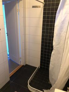a bathroom with a shower with a black tile floor at Guest house Norrköping in Norrköping +17 photos