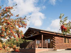 a log cabin with a balcony and a tree at No 6 Lake View Lodges - 28283 in Old Leake +6 photos