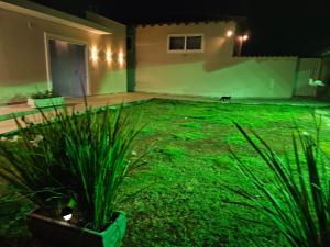 a green yard with a cat in a house at night at Solar das Oliveiras in Ibertioga