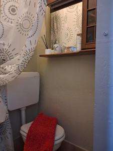 a bathroom with a white toilet and a red towel at Cà Gianarin in Bocenago +37 photos