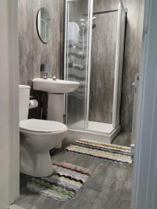 ein Badezimmer mit Toilette, Waschbecken und Dusche in der Unterkunft Hotel Vibes in Blackpool