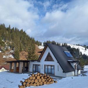 a house with a pile of logs in the snow at Cabana Edav in Ţibău