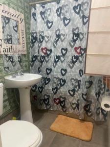a bathroom with a shower curtain with a toilet and a sink at Impecable departamento en radar centrico in Ushuaia