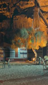 a tree in front of a building with two benches at Rum Arena camp in Wadi Rum