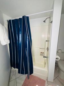 a bathroom with a blue shower curtain and a toilet at 1Bd Prime Westwood Location One Block from UCLA in Los Angeles