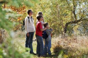 Hosté ubytování Pension Waldwinkel