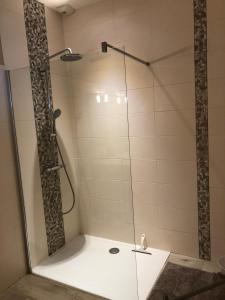 a shower with a glass door in a bathroom at Maison village entre pau et lourdes in Boeil-Bezing +28 photos