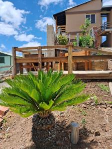 a green plant in front of a wooden fence at Pousada Siriemas in Cambará