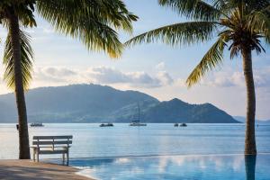 a bench sitting under two palm trees next to a body of water at Fisherman Way Beach Villa in Rawai Beach