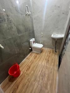 a bathroom with a toilet and a sink at Hotel Dayalu palace in Vrindāvan