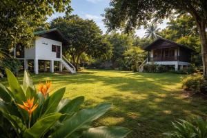 a house in the middle of a yard at Siam phangan in Ko Phangan