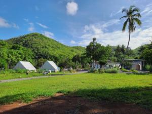 a palm tree and houses in front of a mountain at ไร่เติมรัก - บ้านภูตระการ in Ban Khlong Kum