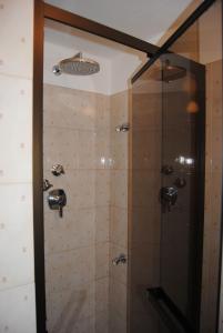 una doccia con porta in vetro in bagno di Hotel Del Viale a Courmayeur