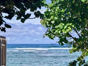 a view of the ocean through the leaves of a tree at Hibiscus Hale - Perfect for 2! in Waialua