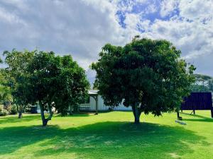 two trees in a field with a house in the background at Hibiscus Hale - Perfect for 2! in Waialua +39 photos