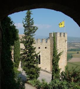 un castillo con un árbol delante de él en Casa Anina en Montsonis