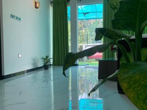 a lobby with a potted plant on the floor at Nomin Villa in Kottagoda +108 photos