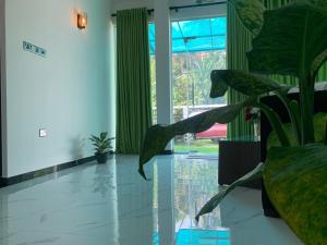 a living room with plants and a glass floor at Nomin Villa in Kottagoda