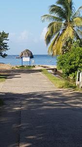 a road leading to a beach with a palm tree and the ocean at Location Marigot in Terre-de-Haut +5 photos
