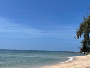 a beach with a palm tree and the ocean at Hotel 86 in Phan Thiet