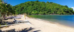 a beach with chairs and trees and the ocean at MG CHATEAU RESORT Grand Suites in Nacpan +17 photos