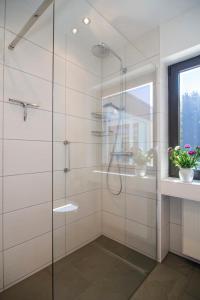a shower with a glass door in a bathroom at Ferienhaus Faltmann in Heimbach