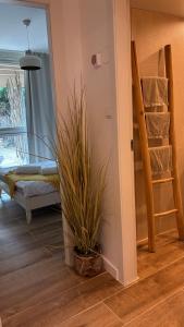 a plant in a pot in a room with a staircase at The Beach Garden Apt. in Caesarea