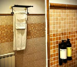 a bathroom with a shower with two bottles on the wall at Hotel Tharsis in Cazorla