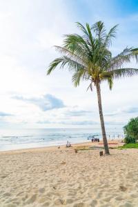 a palm tree on a sandy beach with the ocean at Hotel Beach Avenue in Calangute