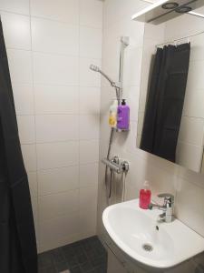 a bathroom with a sink and a mirror at Villa Alice room 2 in Tampere
