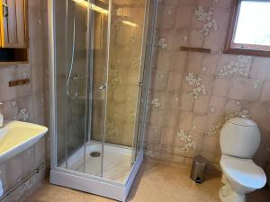 a bathroom with a shower with a toilet and a sink at Askebo Norregård in Askebo +11 photos