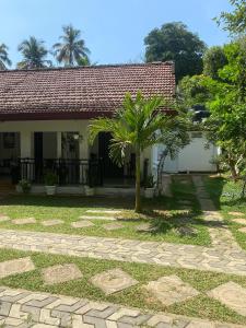 a house with a palm tree in front of it at Lisky villa Blue Beach Hiriketiy in Dickwella