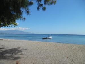 a boat in the water on a beach at Sea World Club Beach Resort & Dive Center in Maumere