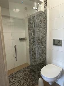 a bathroom with a shower and a toilet in it at Appartement 3 in Diemelstadt 