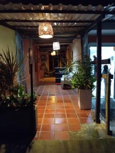 ein Flur mit Topfpflanzen in einem Gebäude in der Unterkunft Hostal ROLLED in Villavieja