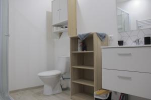 a bathroom with a white toilet and a sink at POLIGNY, appartement centre ville in Poligny