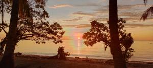 a sunset over the ocean with palm trees on a beach at War Nyampun Homestay in Waisai