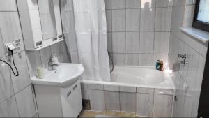 a bathroom with a sink and a tub and a toilet at Miris Dunava 2 in Golubac