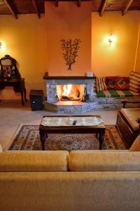 a living room with a couch and a fireplace at Guesthouse Rodamos in Taxiarchis