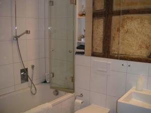 a bathroom with a shower and a toilet and a sink at Zum oberen Schulhof in Konstanz